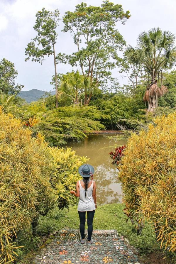 Kantu Garden Lodge Moyobamba Exteriér fotografie